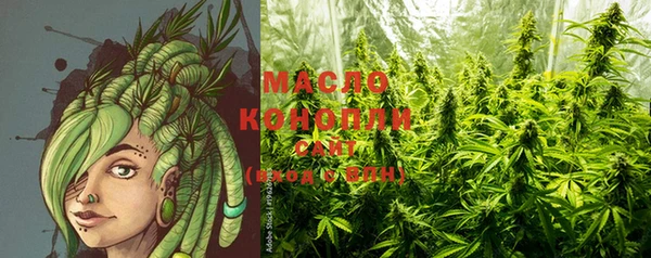 тгк Богданович
