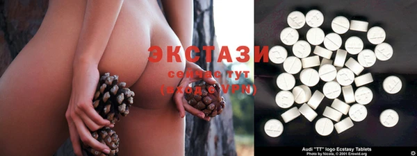 тгк Богданович