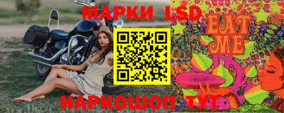 стаф Берёзовский