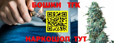 СК Балашиха