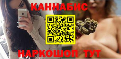 стаф Берёзовский