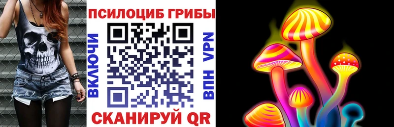 как найти закладки  Верхняя Пышма  Галлюциногенные грибы GOLDEN TEACHER 