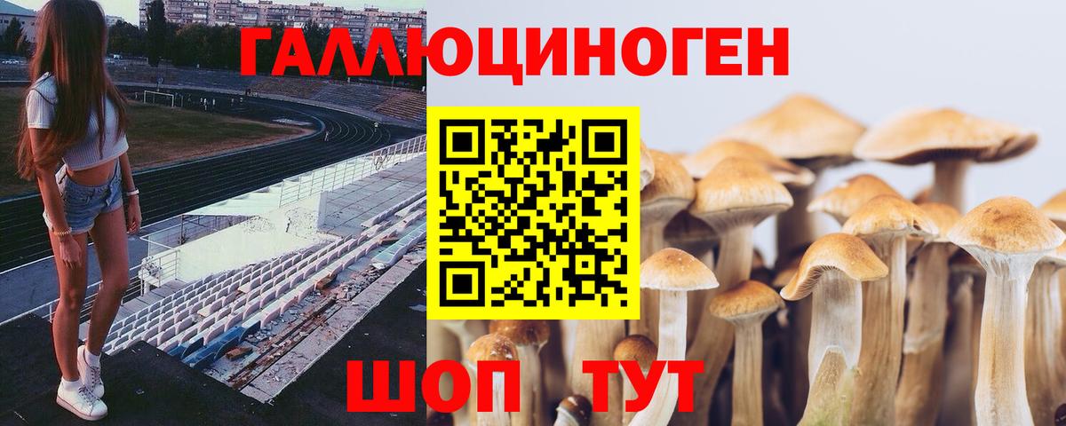 сколько стоит  Верхняя Пышма  Галлюциногенные грибы ЛСД 